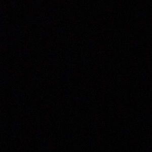 Meet your Posher, Tabitha